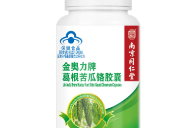 浏览器下载速度太慢?装上这款IDM,下载速度直接提速10倍